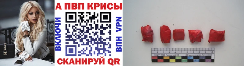 ГАШ Новороссийск